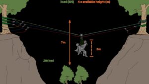 高空横渡系统组件详解