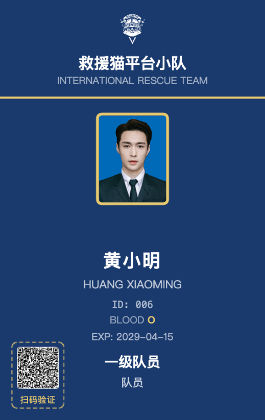 竖版队员证蓝色版